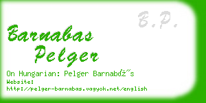 barnabas pelger business card